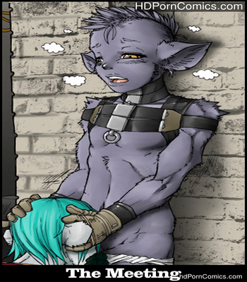 The-Meeting1 free sex comic