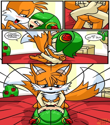 Tails-And-Cosmo-s-First-Time 7 free sex comic