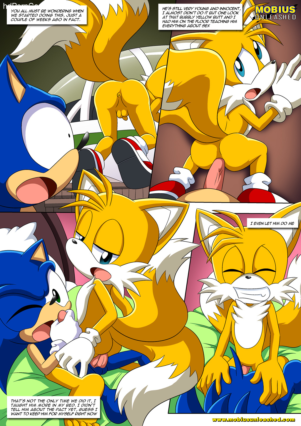 The Hedgehog Porn 2