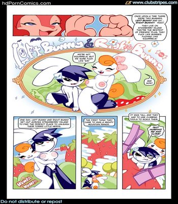 Jam & The Fantastical Adventures Of Left Bunny & Right Bunny Sex Comic sex 4