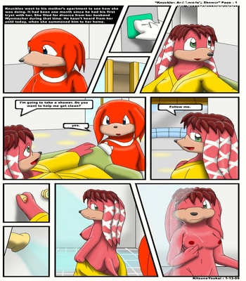 Knuckles And Lara-Le’s Shower Sex Comic sex 2