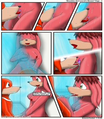 Knuckles And Lara-Le’s Shower Sex Comic sex 4