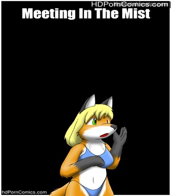 Porn Comics - Meeting In The Mist Sex Comic