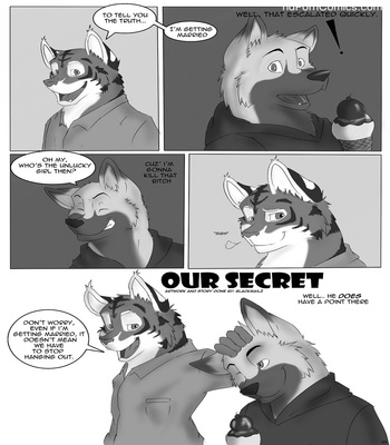 Our Secret Sex Comic sex 2