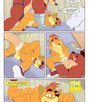 A Day In The Life Of Crash Bandicoot comic porn sex 4