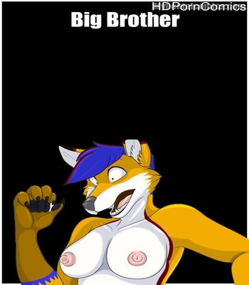 Porn Comics - Big Brother