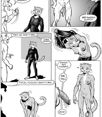Cat Burglar comic porn sex 4