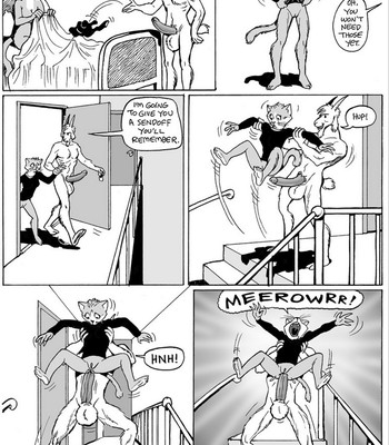 Cat Burglar comic porn sex 11