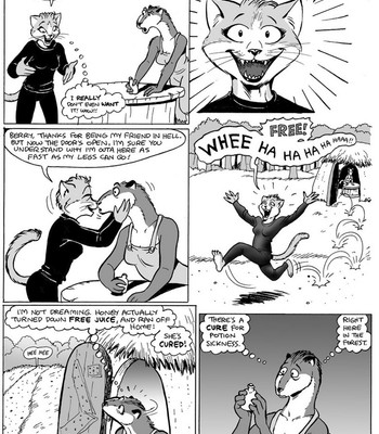 Cat Burglar comic porn sex 15