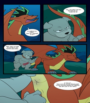 Dragon-Lessons 3 free sex comic