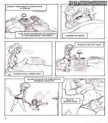 In A Motel With Kiska comic porn thumbnail 001