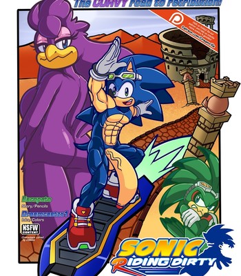 Porn Comics - Sonic Riding Dirty