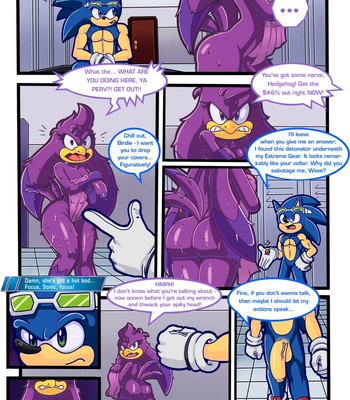 Sonic Riding Dirty comic porn sex 5