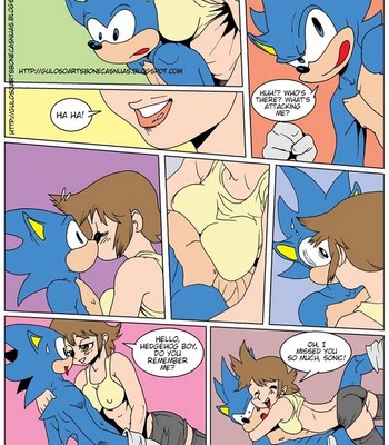 Porn Comics - Sonic XXX
