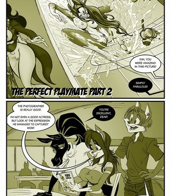 The Perfect Playmate 2 comic porn sex 2