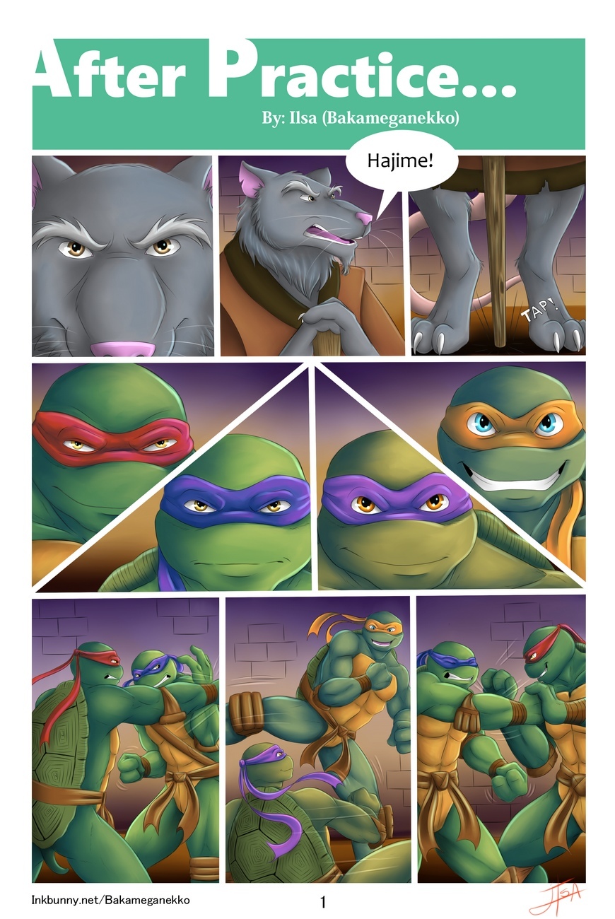 Xxx ninja turtles