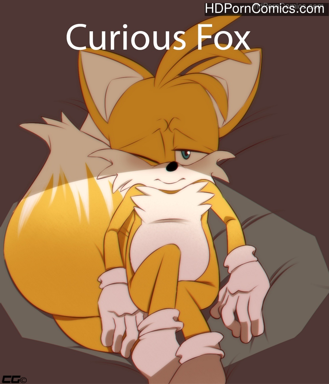 Curious fox